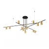 
                    Подвесная люстра Kink Light Рия 07621-12,20        
    