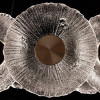 
                    Подвесная светодиодная люстра Arte Lamp Cherish A2097LM-90GO        
    