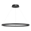 
                    Подвесной светильник ST LUCE SL6238.443.01        
    