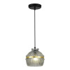 
                    Подвесной светильник ST Luce SL1661.413.01        
    
