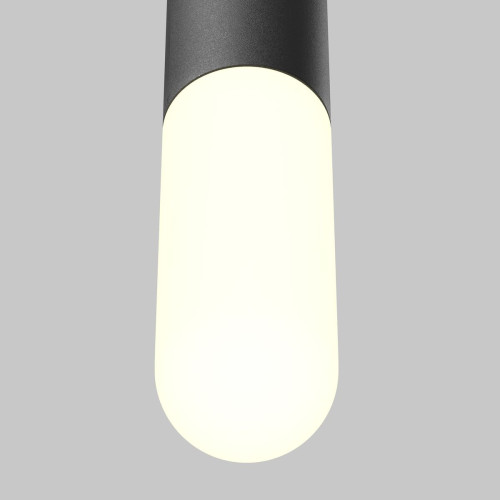 
                    Подвесной светодиодный светильник Maytoni Technical Mist P101PL-L300-12W3K-B        
    