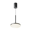 
                    Подвесной светодиодный светильник Maytoni Technical Plato P076PL-L12W4K-B        
    