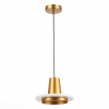
                    Подвесной светодиодный светильник ST Luce Oltarno SL1212.203.01        
    