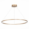
                    Подвесной светодиодный светильник ST Luce ST605.243.46        
    