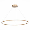 
                    Подвесной светодиодный светильник ST Luce ST605.243.46        
    