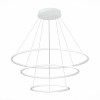 
                    Подвесной светодиодный светильник ST Luce ST605.543.114        
    