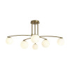 
                    Потолочная люстра Freya Hanger FR5443CL-06BS        
    