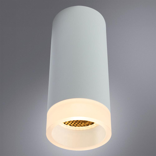 
                    Потолочный светильник Arte Lamp Ogma A5556PL-1WH        
    