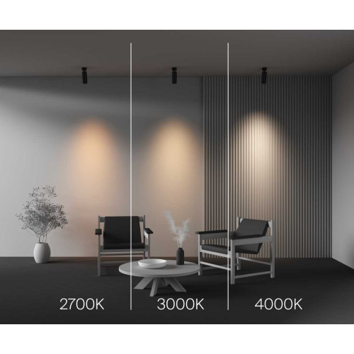 
                    Потолочный светильник Maytoni Technical Ceiling FOCUS LED C055CL-L20W2.7-3-4K-M-B        
    