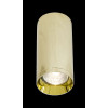 
                    Потолочный светильник Maytoni Technical Focus C010CL-01G        
    