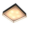 
                    Потолочный светильник ST Luce Chodo SL1127.422.05        
    