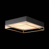 
                    Потолочный светильник ST Luce Chodo SL1127.422.05        
    