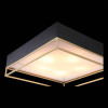 
                    Потолочный светильник ST Luce Chodo SL1127.422.05        
    