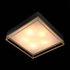 
                    Потолочный светильник ST Luce Chodo SL1127.422.05        
    