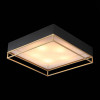 
                    Потолочный светильник ST Luce Chodo SL1127.422.05        
    