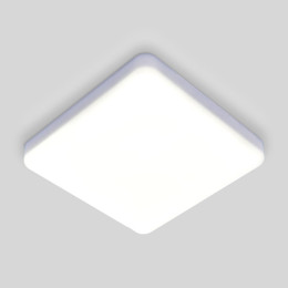 Потолочный светодиодный светильник Elektrostandard DLS043 10W 4200K a047941