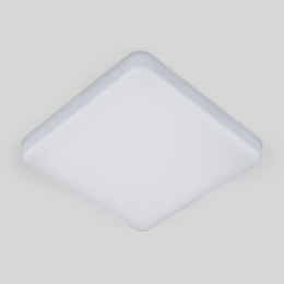 Потолочный светодиодный светильник Elektrostandard DLS043 10W 4200K a047941