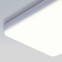 Потолочный светодиодный светильник Elektrostandard DLS043 10W 4200K a047941