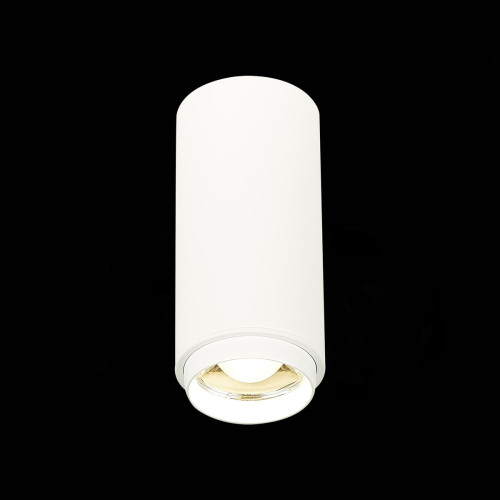 
                    Потолочный светодиодный светильник ST Luce Zoom ST600.542.10        
    