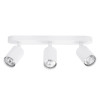 
                    Спот Arte Lamp Aquarius A3226PL-3WH        
    