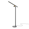 
                    Торшер Maytoni Emphaty MOD363FL-L14B3K        
    