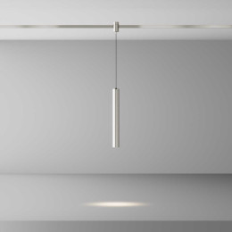 Трековый светильник Maytoni Technical TR155-1-5W4K-PT