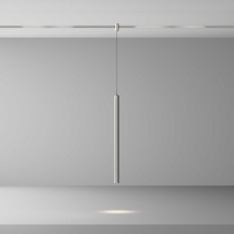 Трековый светильник Maytoni Technical TR156-1-5W4K-PT