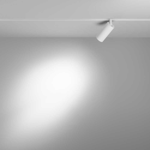 
                    Трековый светодиодный светильник Maytoni Technical Focus LED TR032-2-5W3K-S-W        
    