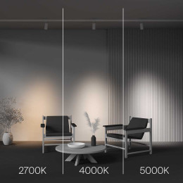 Трековый светодиодный светильник Maytoni Technical Focus Led TR197-3-20WCCT-M-W