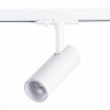 
                    Трековый светодиодный светильник ST Luce Mono ST350.546.10.36        
    