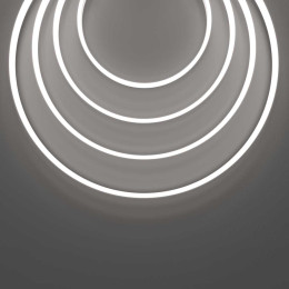 Гибкий неон Maytoni Led Strip 5м 432031
