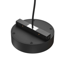 Источник напряжения Maytoni Technical TRA172DR-100W-DD-B