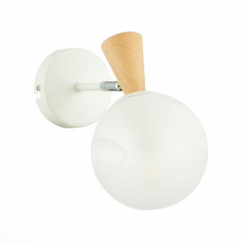 
                    Настенный светильник Evoluce Catania SLE220701-01        
    