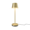 
                    Настольная аккумуляторная лампа Maytoni Modern Nook MOD494RL-L1BSK        
    