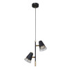 
                    Подвесная люстра F-Promo Trandy 4618-2P        
    