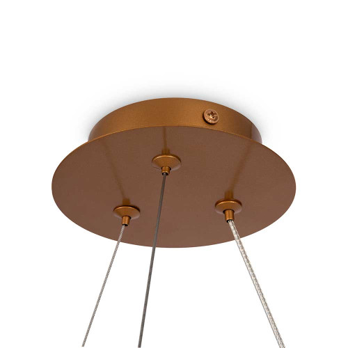 
                    Подвесная люстра Maytoni Balance MOD317PL-04G        
    