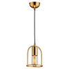 
                    Подвесной светильник Lussole Loft Boone LSP-8425        
    