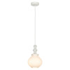 
                    Подвесной светильник Lussole Loft LSP-8516        
    
