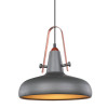 
                    Подвесной светильник Lussole Loft LSP-9814        
    
