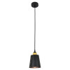 
                    Подвесной светильник Lussole Loft LSP-9861        
    