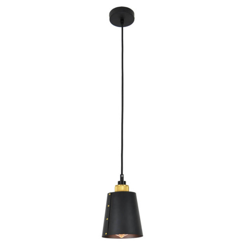 
                    Подвесной светильник Lussole Loft LSP-9861        
    