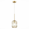 
                    Подвесной светильник ST Luce Gran SL1154.333.01        
    
