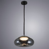 
                                            Подвесной светодиодный светильник Arte Lamp Cody A7767SP-1BC                    
                
