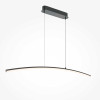 
                    Подвесной светодиодный светильник Maytoni Light Reflection MOD243PL-L18BK        
    