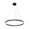
                    Подвесной светодиодный светильник Maytoni Rim MOD058PL-L42BK        
    