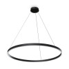 
                    Подвесной светодиодный светильник Maytoni Rim MOD058PL-L54BK        
    
