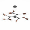 
                    Потолочная люстра Evoluce Palare SLE106403-09        
    
