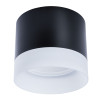
                    Потолочный светильник Arte Lamp Castor A5554PL-1BK        
    