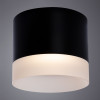 
                    Потолочный светильник Arte Lamp Castor A5554PL-1BK        
    