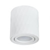 
                    Потолочный светильник Arte Lamp Fang A5559PL-1WH        
    